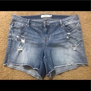 Torrid Distressed Shorts